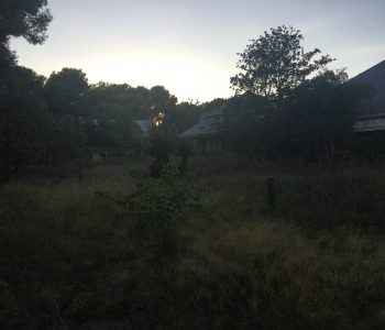 IMG_7909
